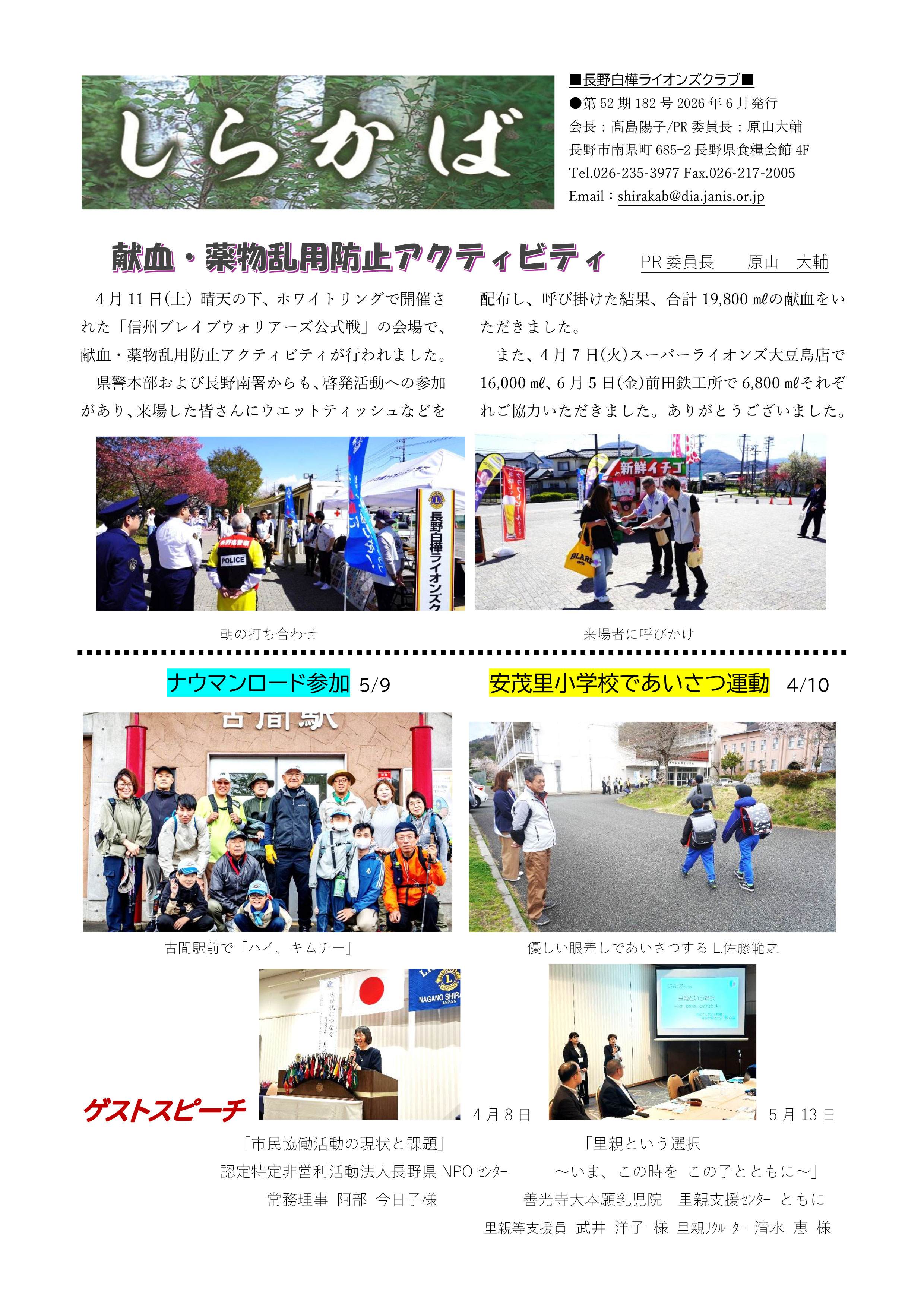 shirakaba174